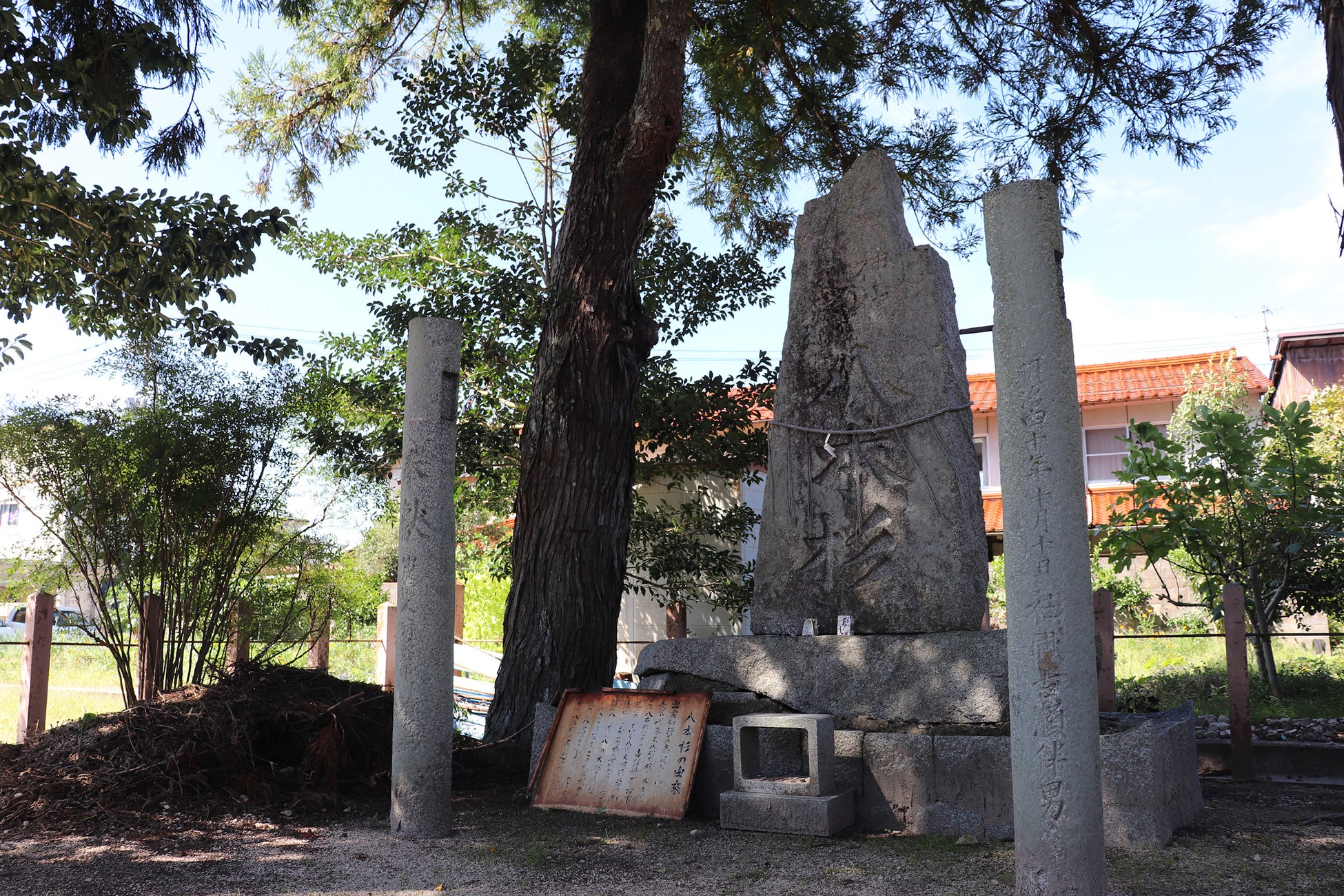 八本杉：ヤマタノオロチの八つの首を根元に埋めたとされる八本の杉