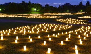 なら燈花会 春日野園地の様子