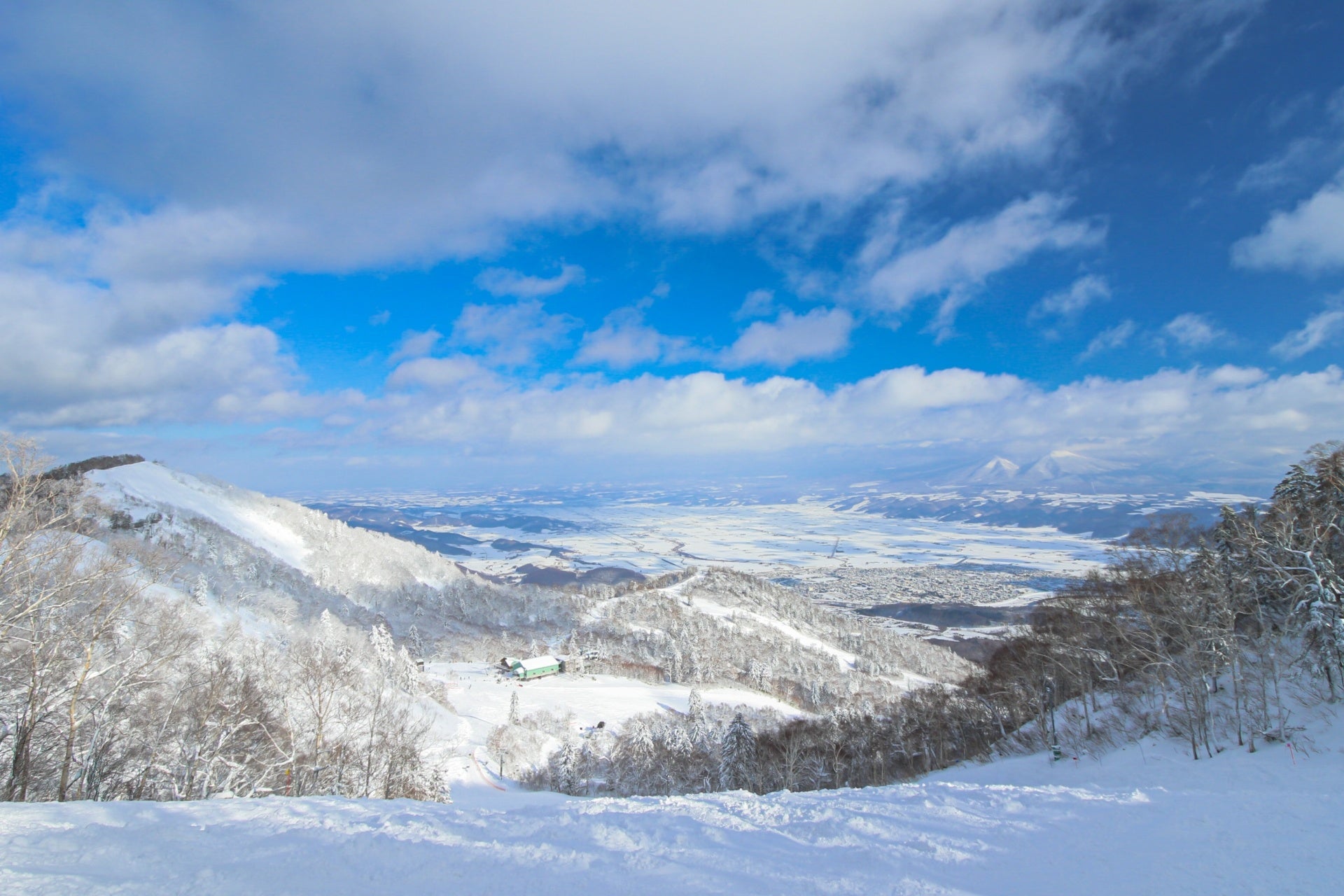 富良野の広大なスキー場