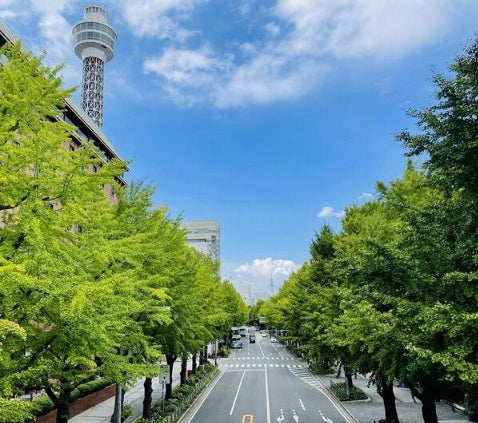 山下公園通り