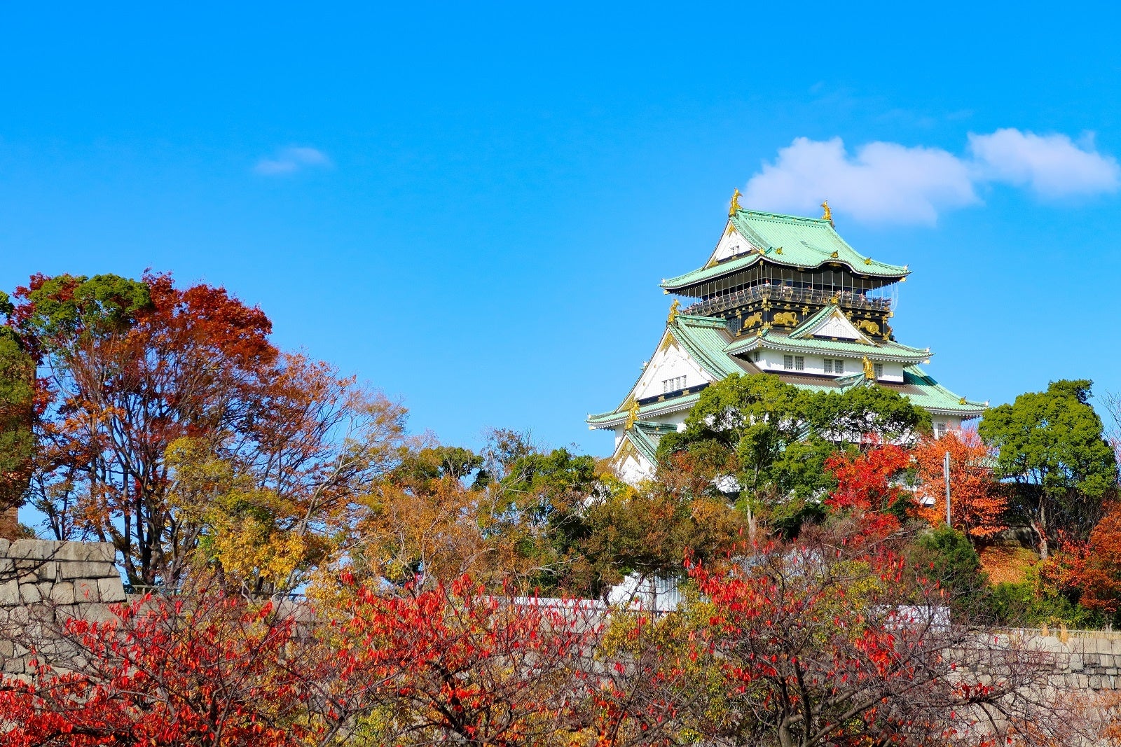 ホテルに隣接する大阪城公園も紅葉の名所