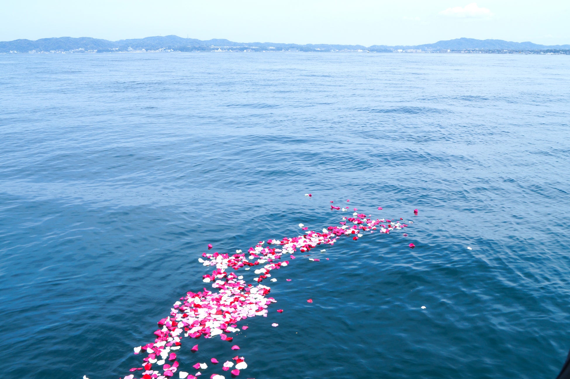 海に浮かぶ献花