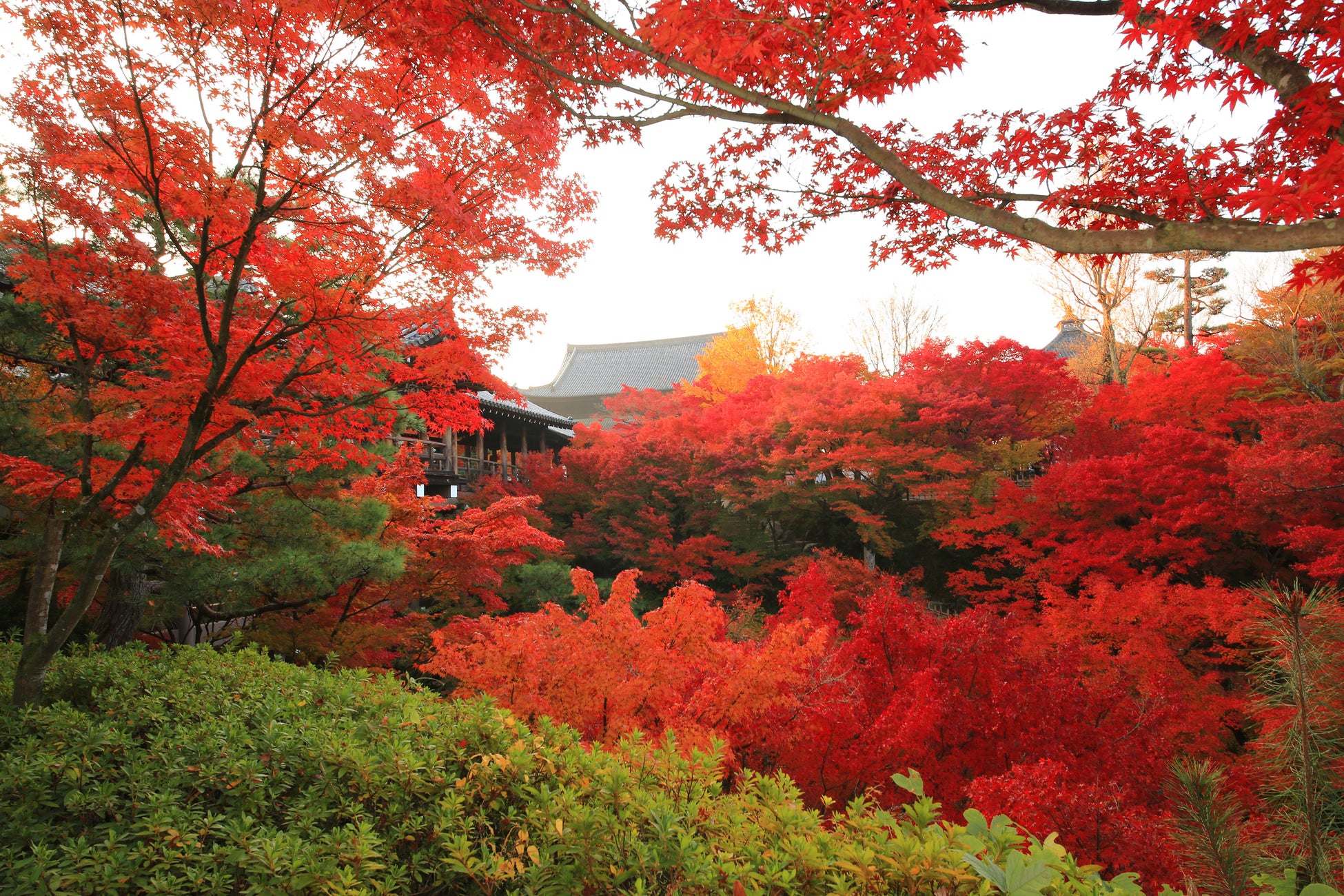 東福寺