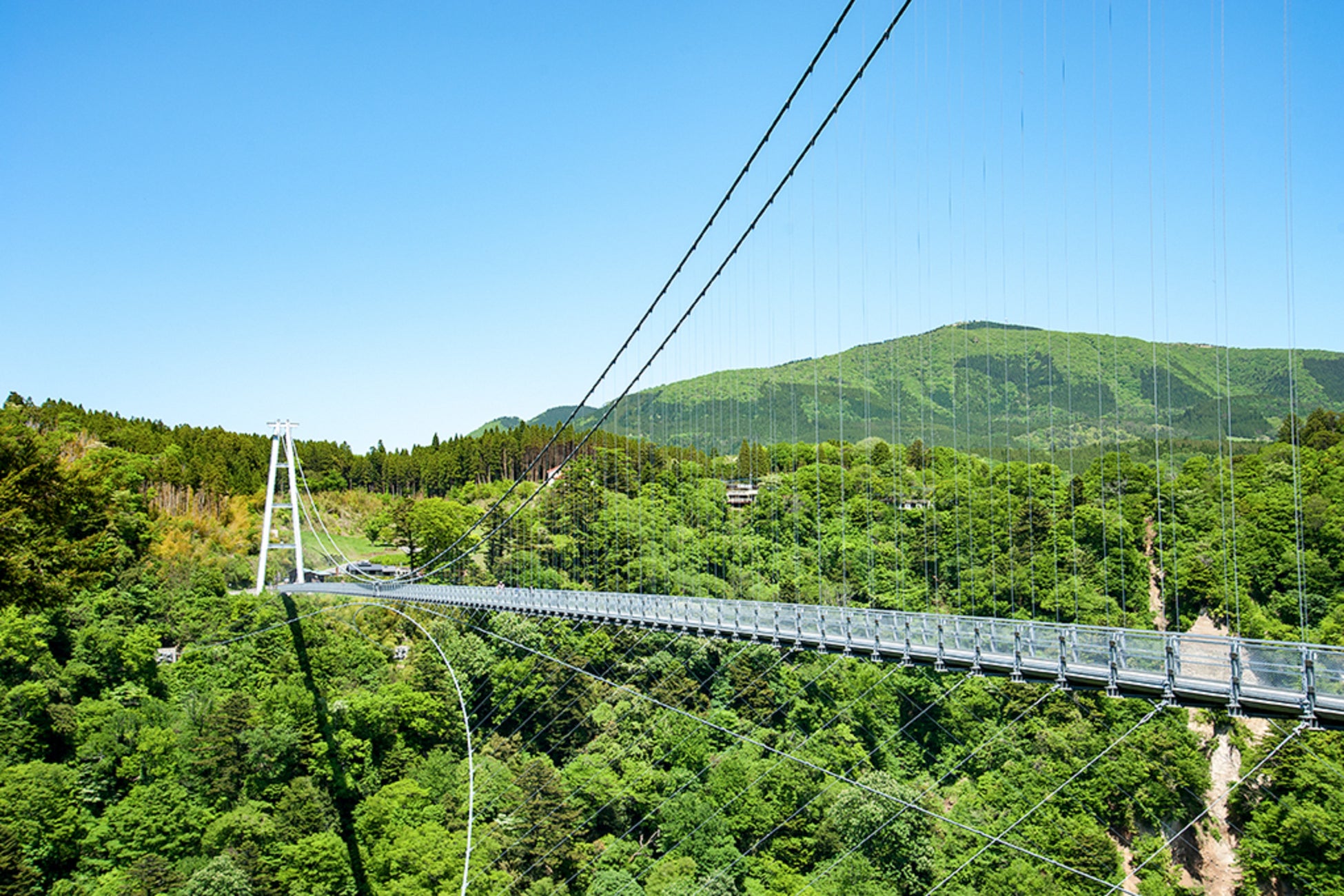 九重“夢”大橋