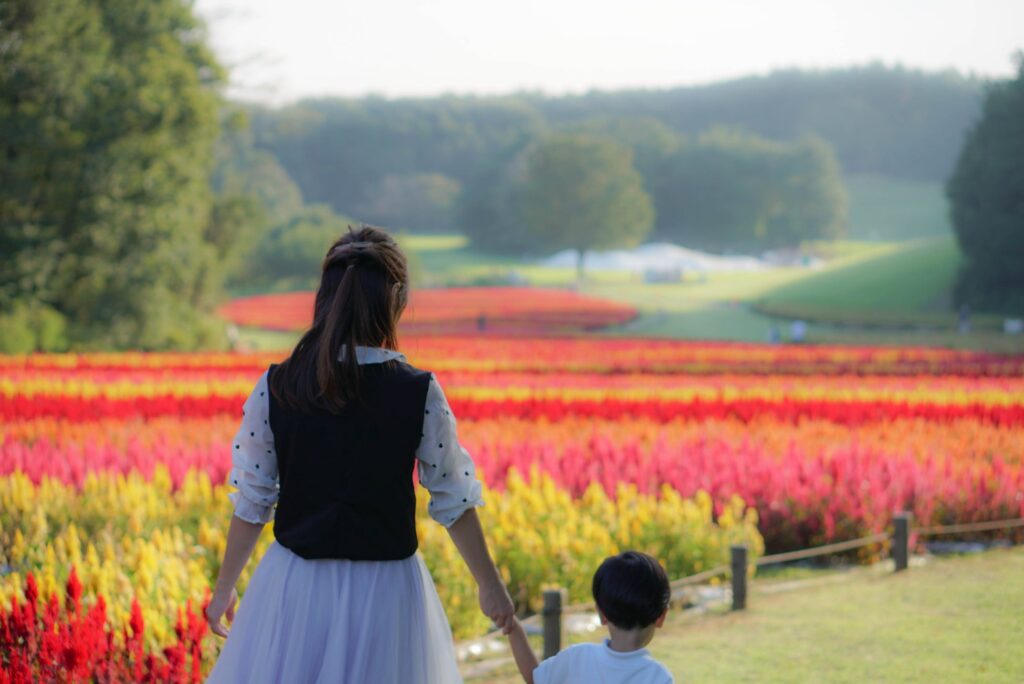 3年ぶりに園内最大の花畑『運動広場花畑』にて、約80万本の羽毛ゲイトウが見頃を迎えます（2020年9月撮影）