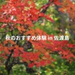 秋のおすすめ体験 in 佐渡島
