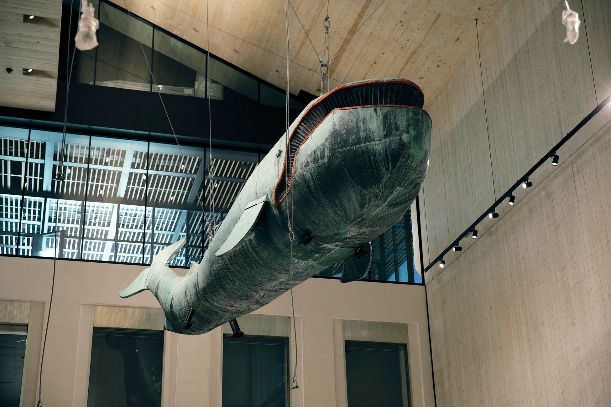 クジラのポルディ© Ina Aydogan,Wien Museum