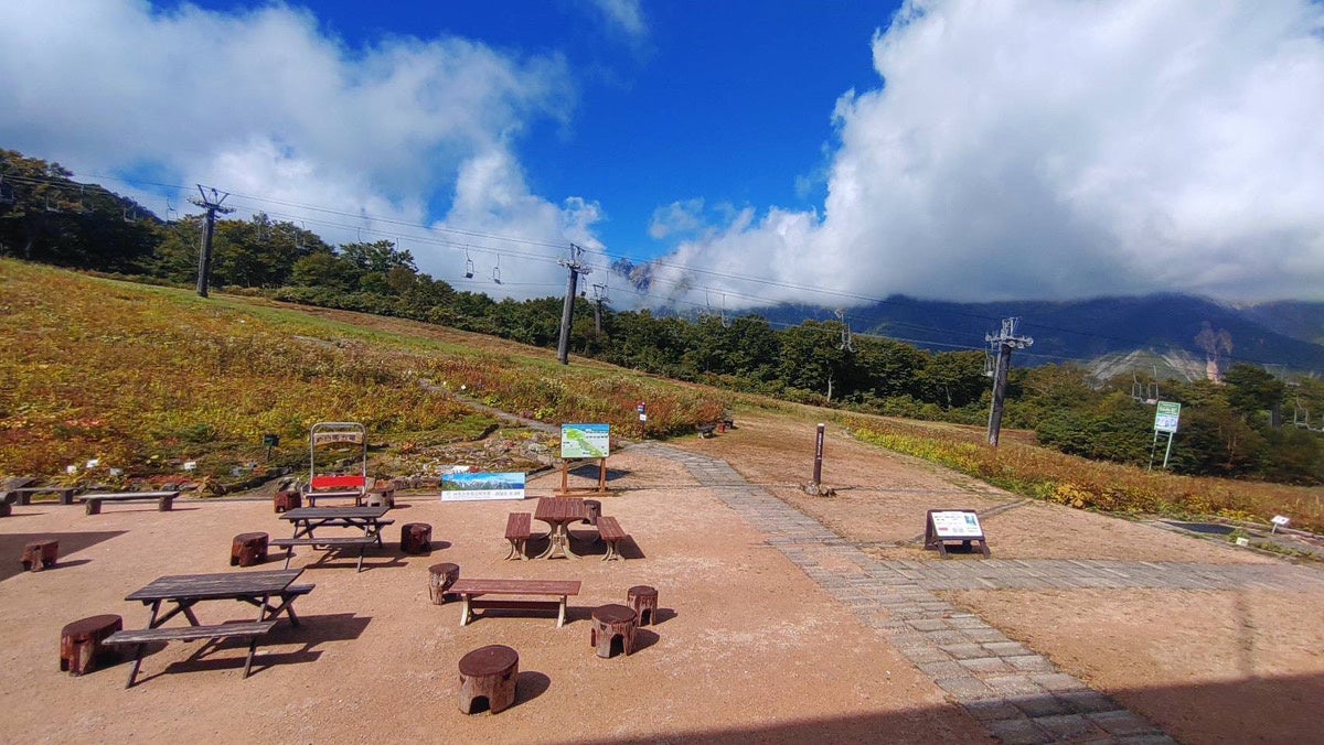 白馬五竜高山植物園9月29日撮影