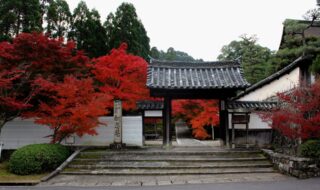 酬恩庵 一休寺