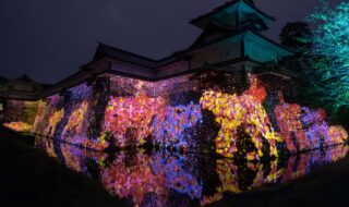 チームラボ《金沢城の石垣に住まう花と共に生きる動物たち》© チームラボ