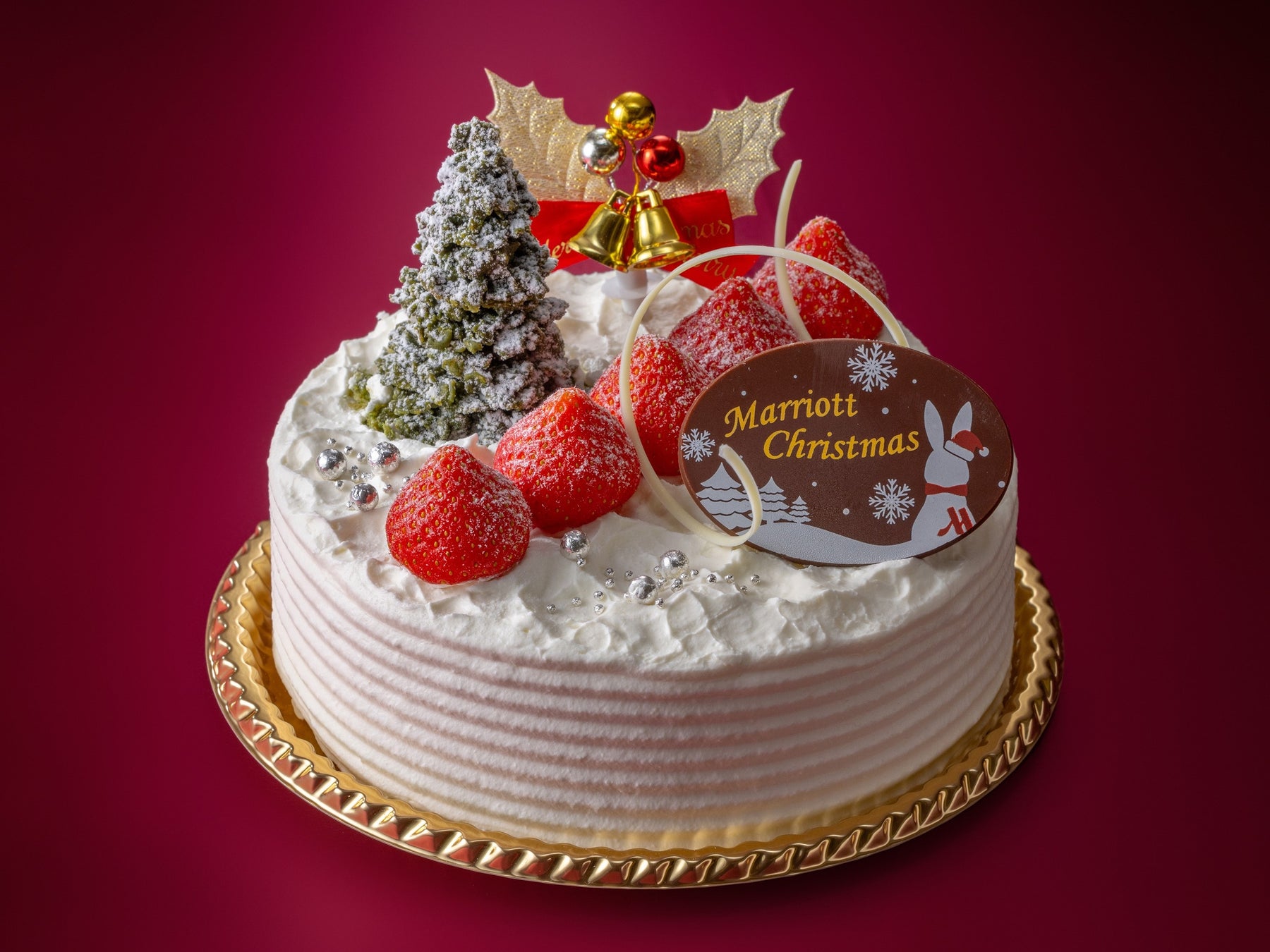クリスマスケーキ ～クラッシック～（5号15cm・6,000円）