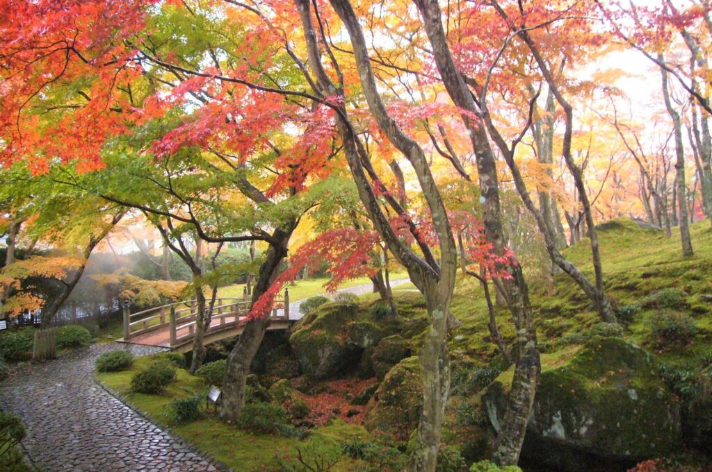 箱根美術館 苔庭