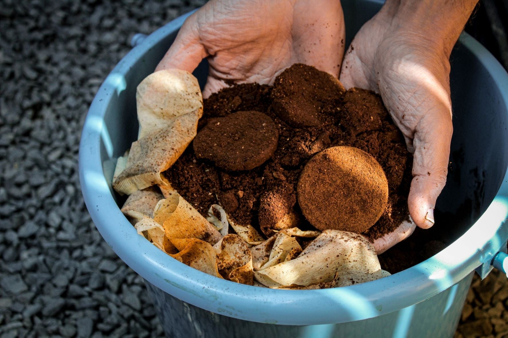 回収されたコーヒーかすは肥料として使われます