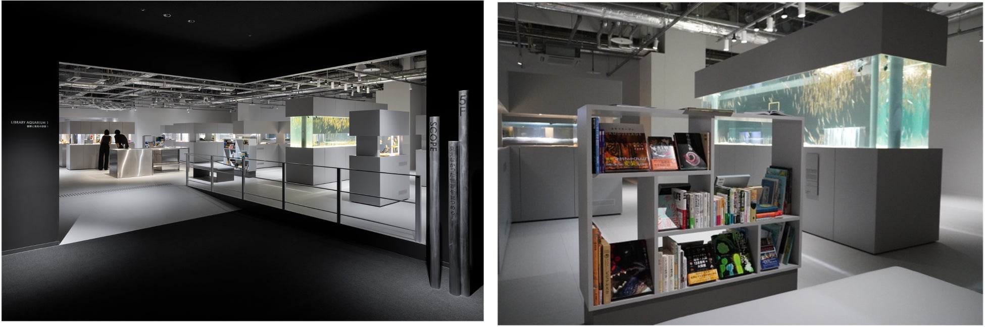【水槽が立ち並ぶLIBRARY AQUARIUM（左）、水槽の近くにある展示生物に関連する本棚（右）】
