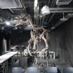 【5F「CO-WORKING」にて展示されている「カムイサウルス」の全身復元骨格標本】