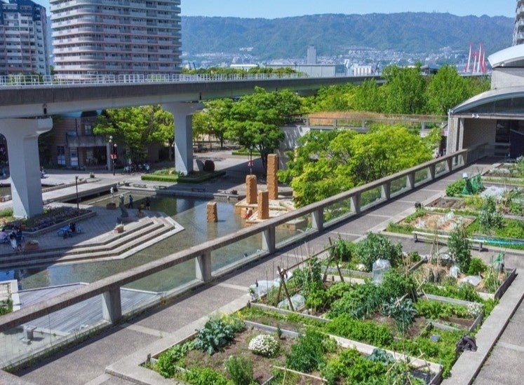 神戸市のアーバンファーミング第1号モデルとして人気のオーガニック農園「シェラトンファーム」。六甲山系を臨み都会の中で土に触れる機会をもつことが出来ます