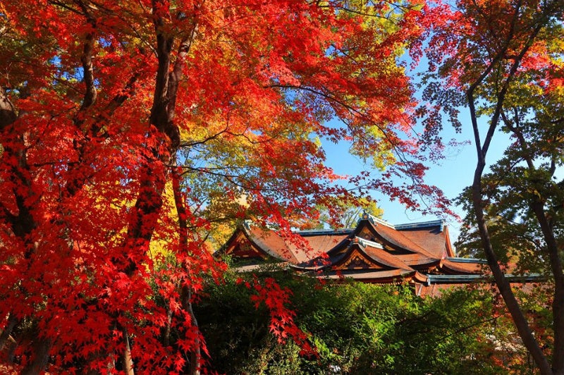 京都・北野天満宮