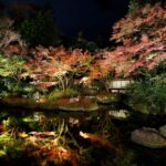 「茶寮」と日本庭園　紅葉の季節の夜景