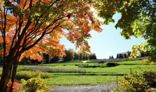 カントリーガーデン周辺の紅葉風景　2023年10月22日撮影