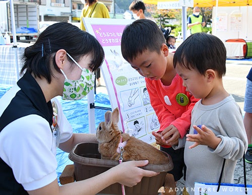 ４種類の動物とのふれあい（ミニチュアホース、ヤギ、ウサギ、モルモット）