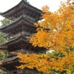 新潟県唯一の五重塔がある妙宣寺（真野地区）