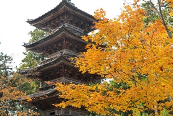 新潟県唯一の五重塔がある妙宣寺（真野地区）