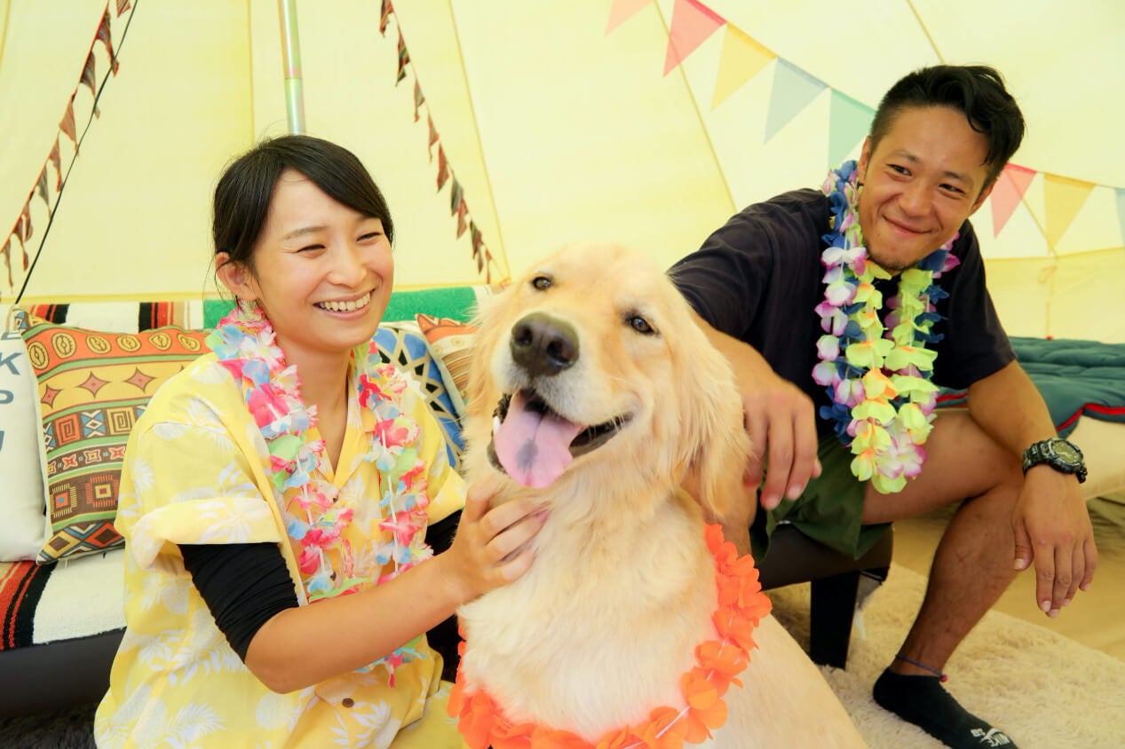 わんちゃんと宿泊されるイメージ写真