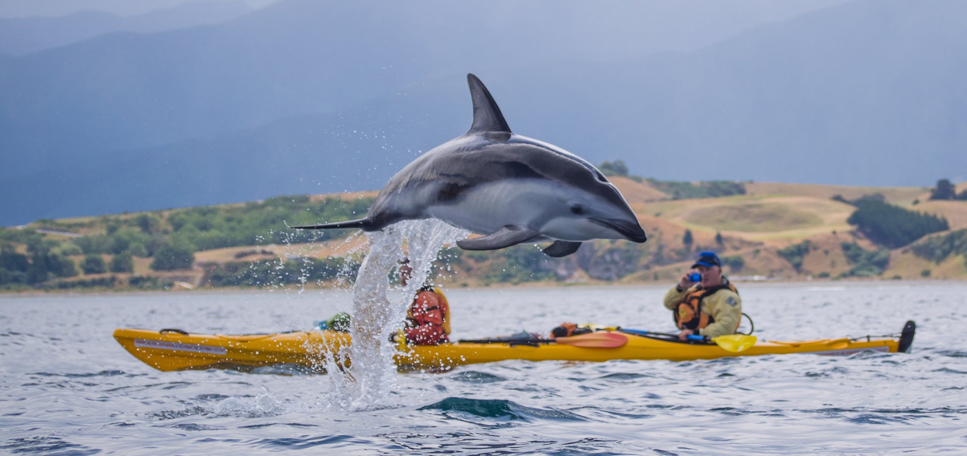 © Kaikoura Kayaks