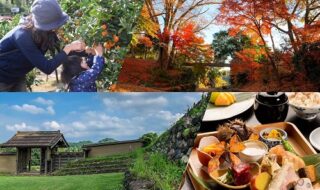 左上から時計回りに、風布みかん狩り・雀宮公園・鉢形城公園（寄居町提供）、お福ひな膳（イメージ）