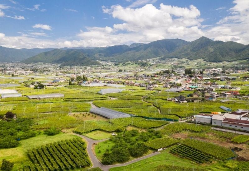 山梨・勝沼コース（イメージ）