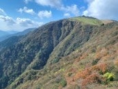 琵琶湖側の紅葉の様子 10.23撮影