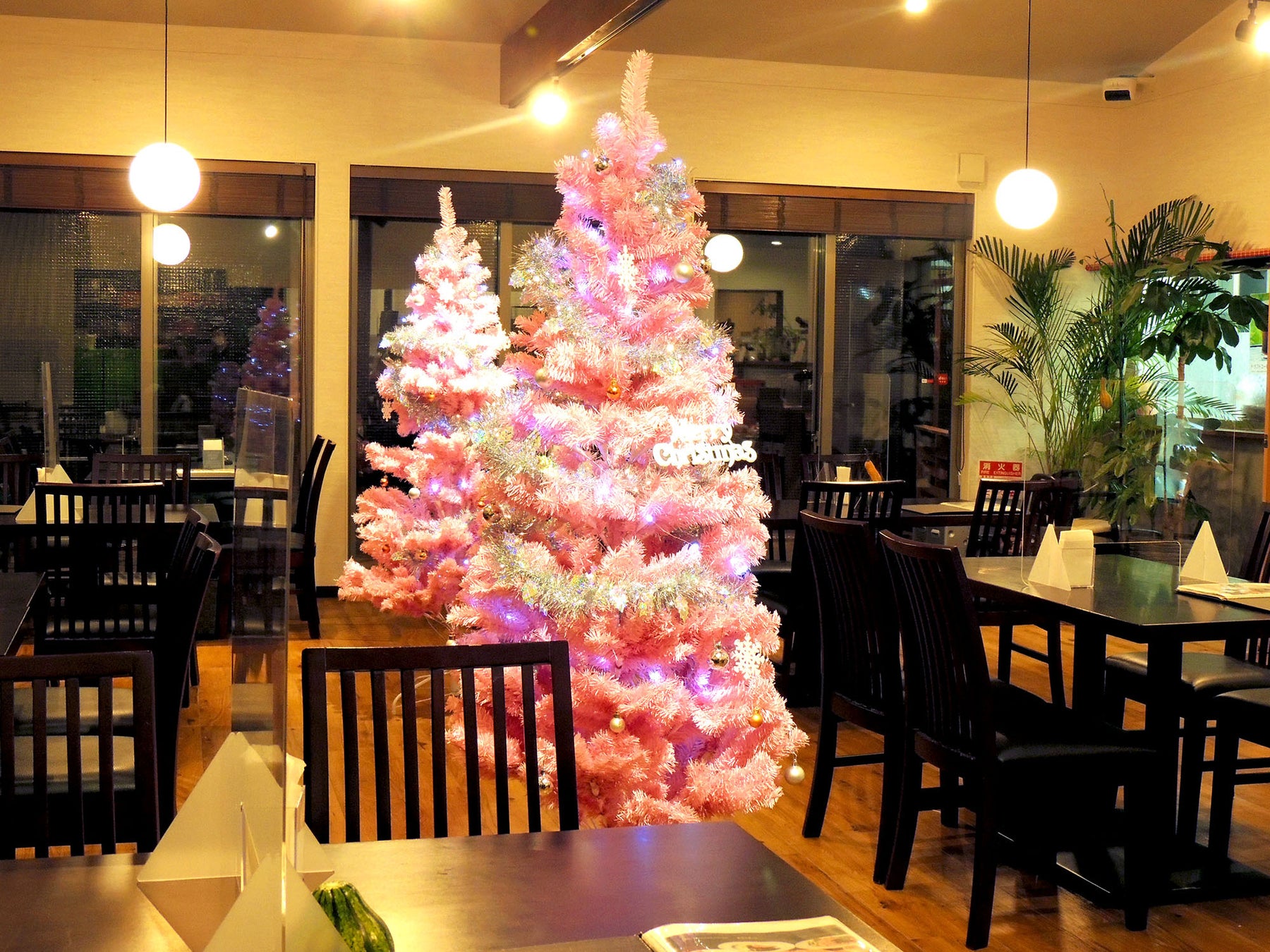 レストラン那須高原バル　クリスマスツリー