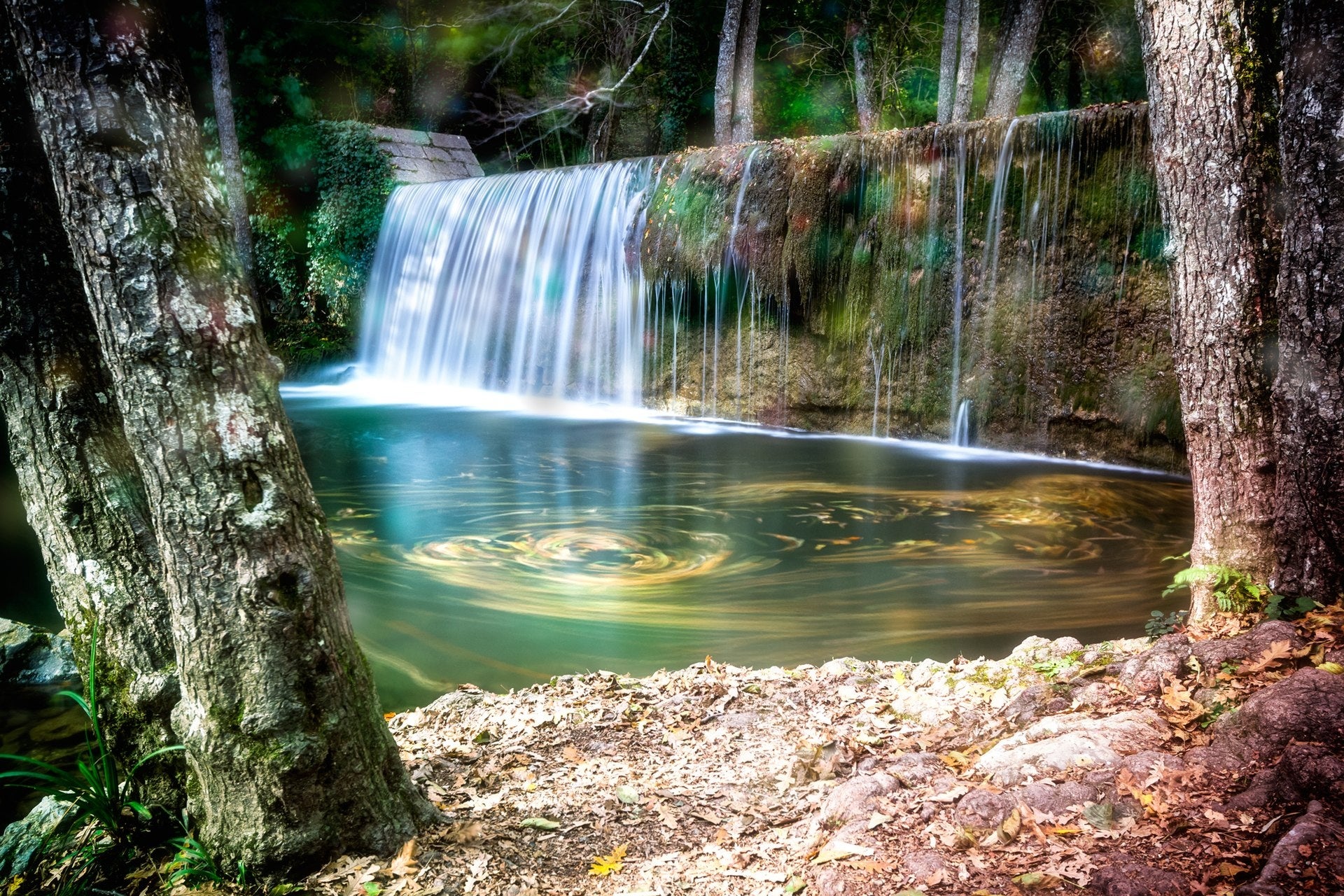 ポッリーノ国立公園　マニャーノの森 photo Archivio APT Basilicata