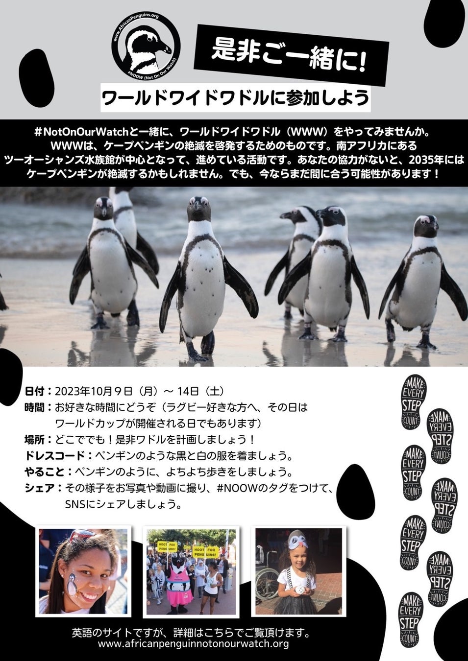 ケープペンギンを思う一週間資料2