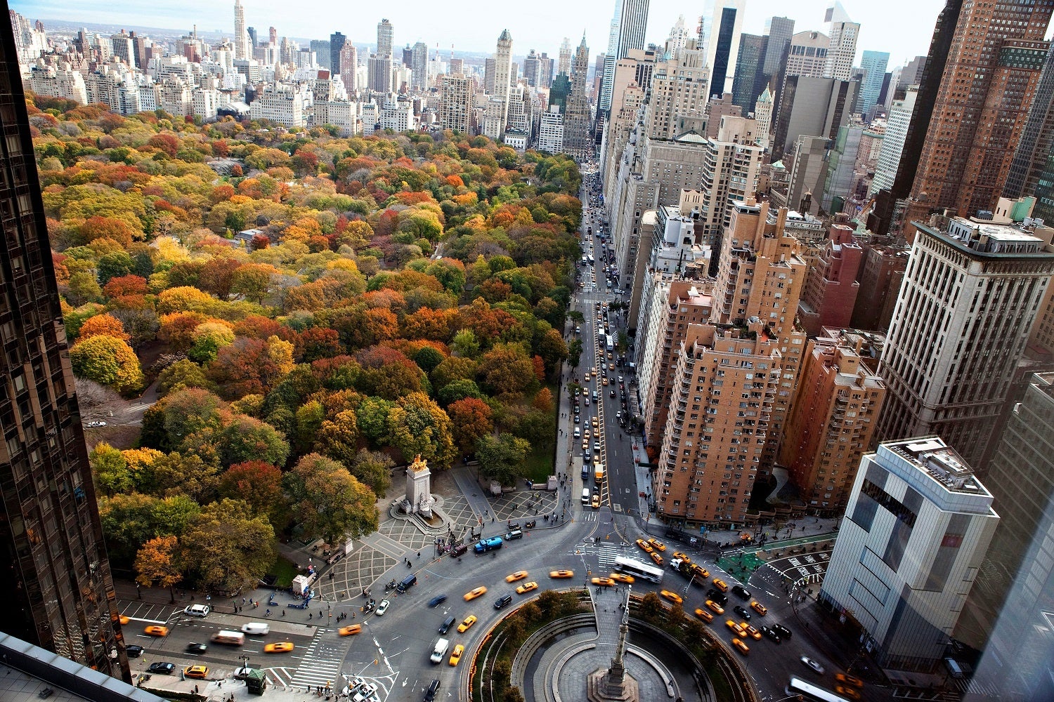 NYCの秋は、紅葉をはじめ、芸術・文化・ショッピングなど、様々な楽しみがあります