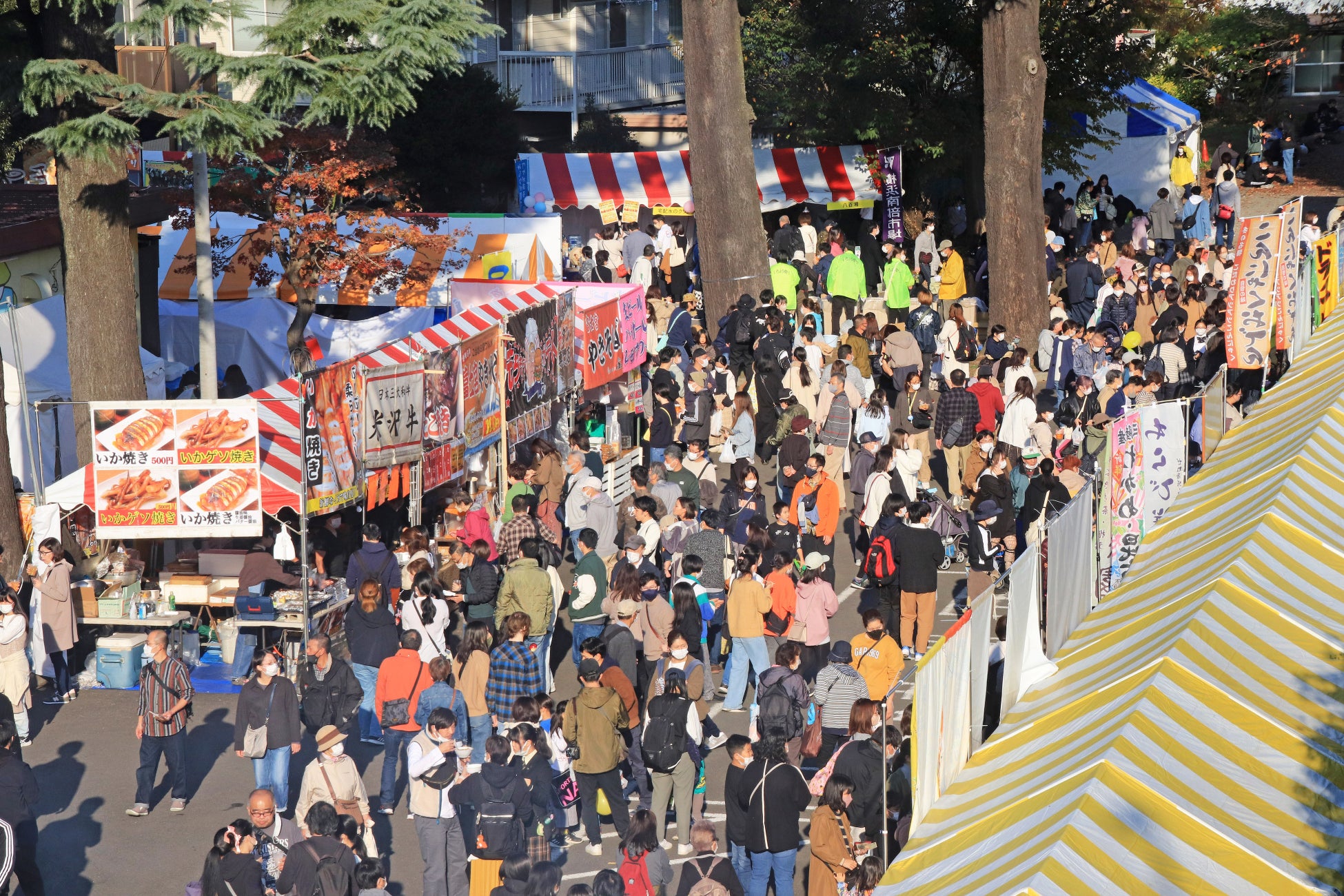 写真提供：八王子いちょう祭り祭典委員会