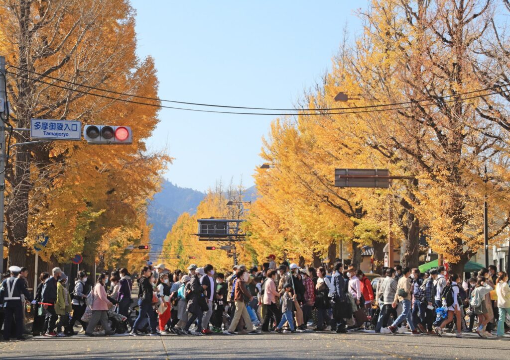 写真提供：八王子いちょう祭り祭典委員会