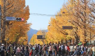 写真提供：八王子いちょう祭り祭典委員会