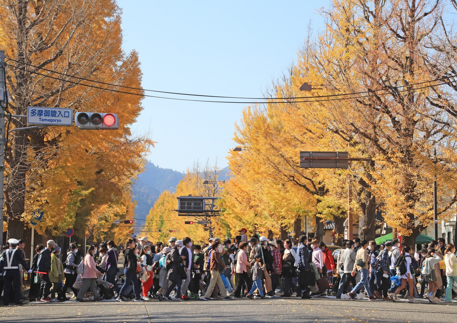 写真提供：八王子いちょう祭り祭典委員会