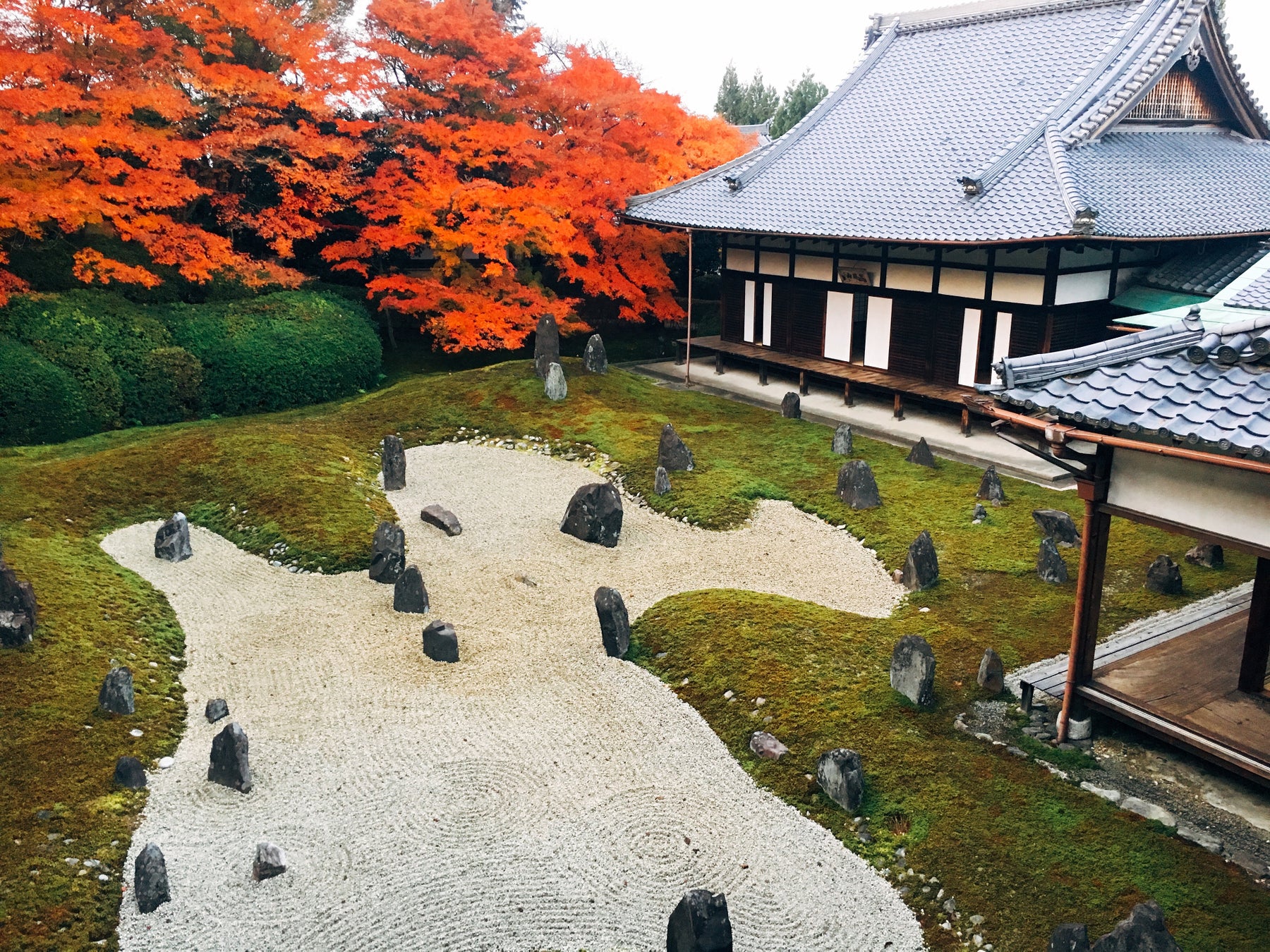 虹の苔寺「光明院」