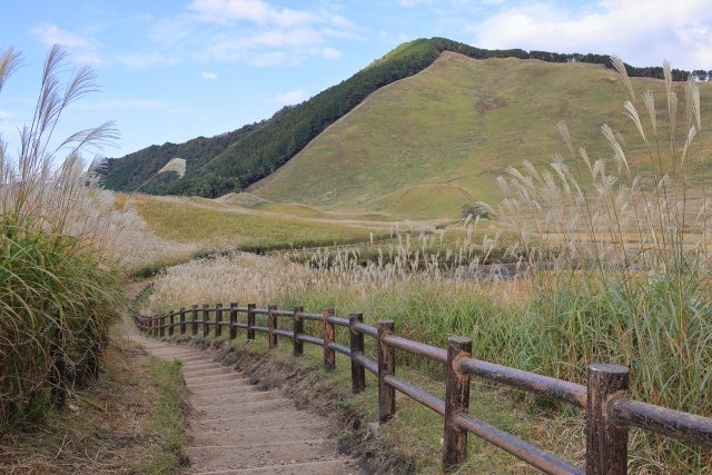 曾爾高原　イメージ