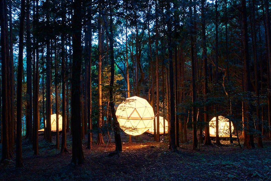 森の中の球体テント