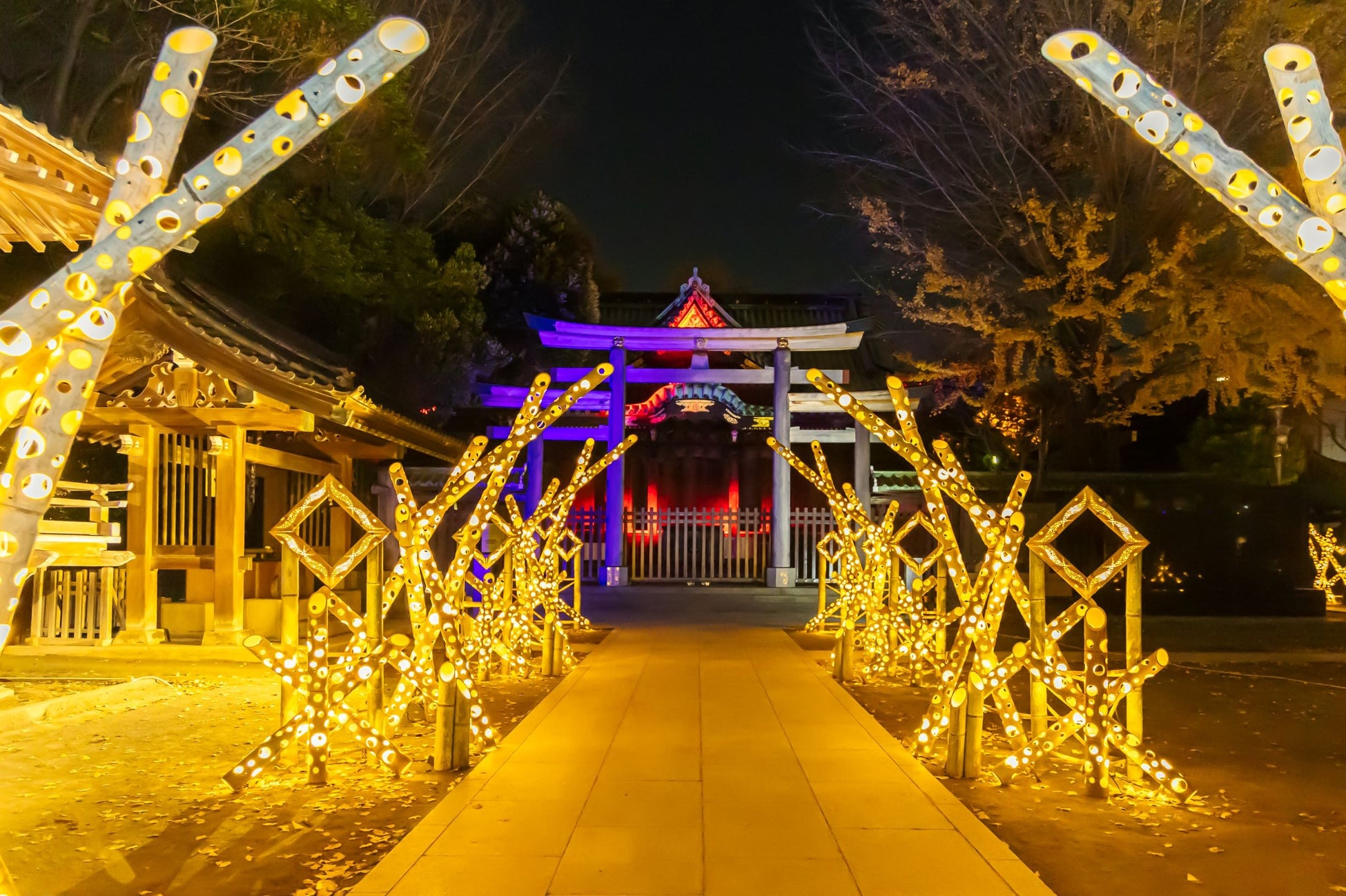 牛嶋神社「竹あかりライトアップ」（昨年）