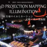 3D PROJECTION MAPPING ILLUMINATION案内