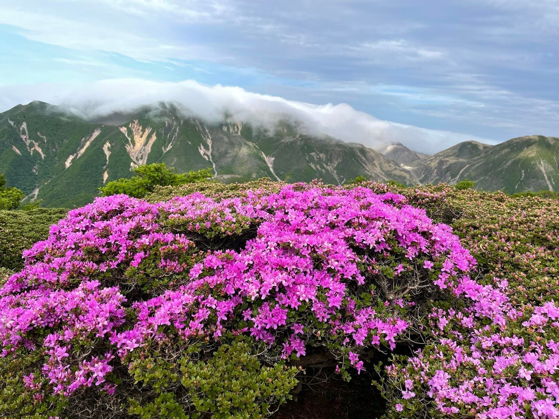 くじゅう連山・ミヤマキリシマと三俣山