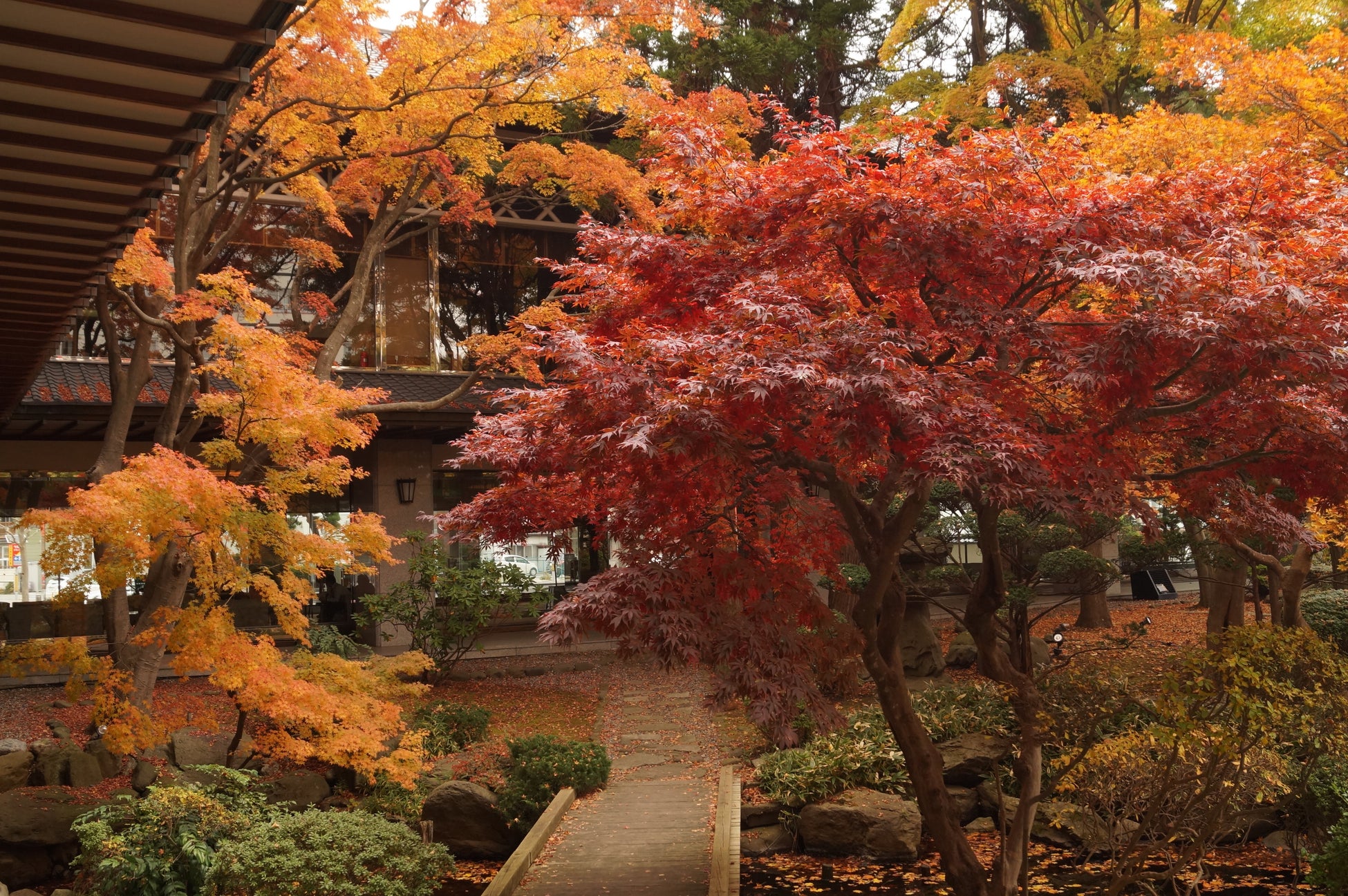 松岡庭園は来年で100周年、様々な企画も考案中