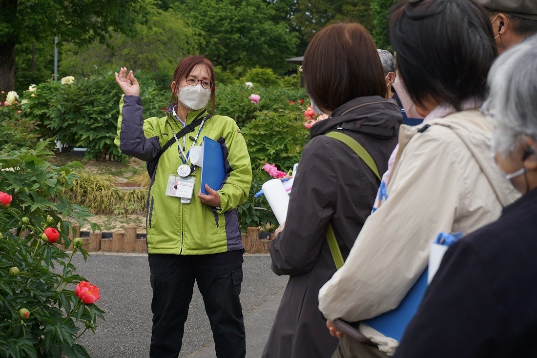 スタッフが一緒に回りながらぼたんの魅力を解説します　※イメージ