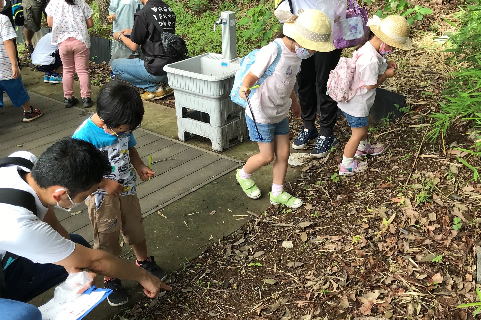 自分で見つけたり触ったり、楽しく自然体験！　※イメージ