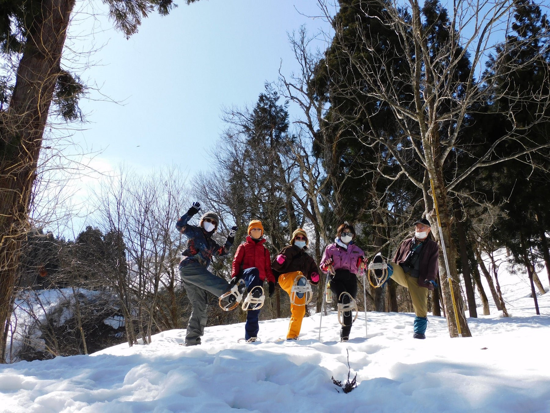 提供：石川県白山自然保護センター