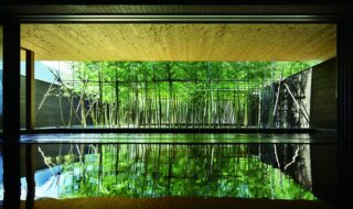 【片岡温泉】目の前に広がる竹林を眺めながら入る内風呂